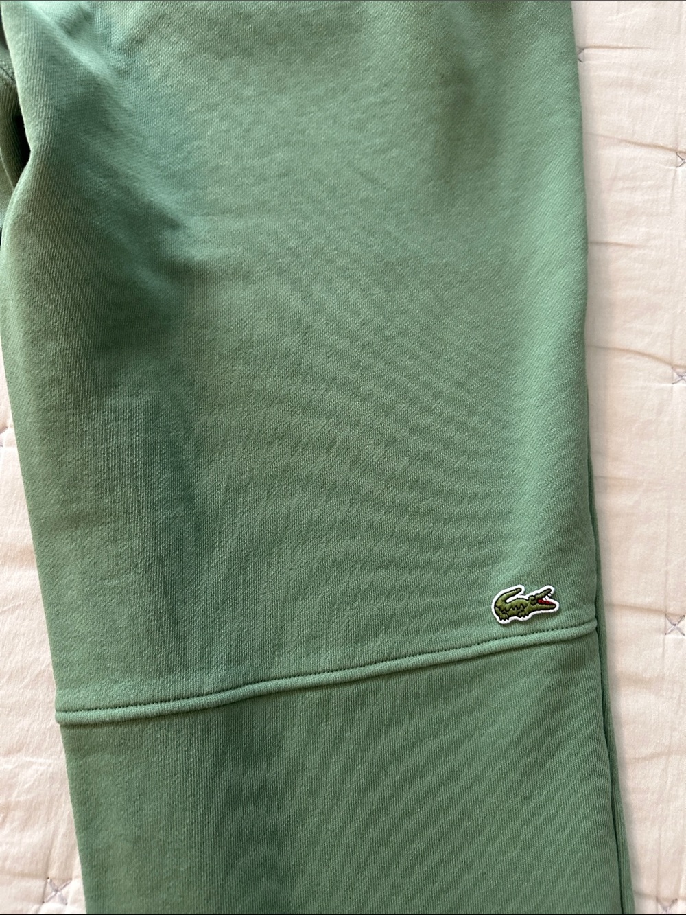 Lacoste Sage Green Logo Joggers - Picture 8 of 8